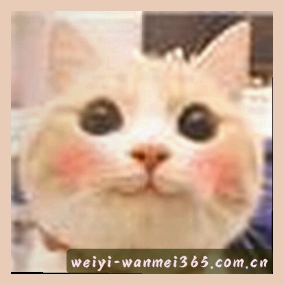 王总
