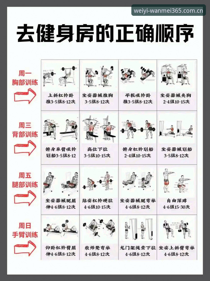 完美体育365平台使用教程：从入门到精通的完整操作指南